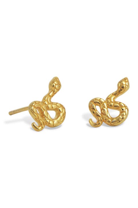 Snake Stud Earrings