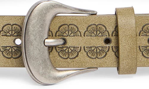 Steve Madden Oval Concho Burnished Buckle Belt In Sage