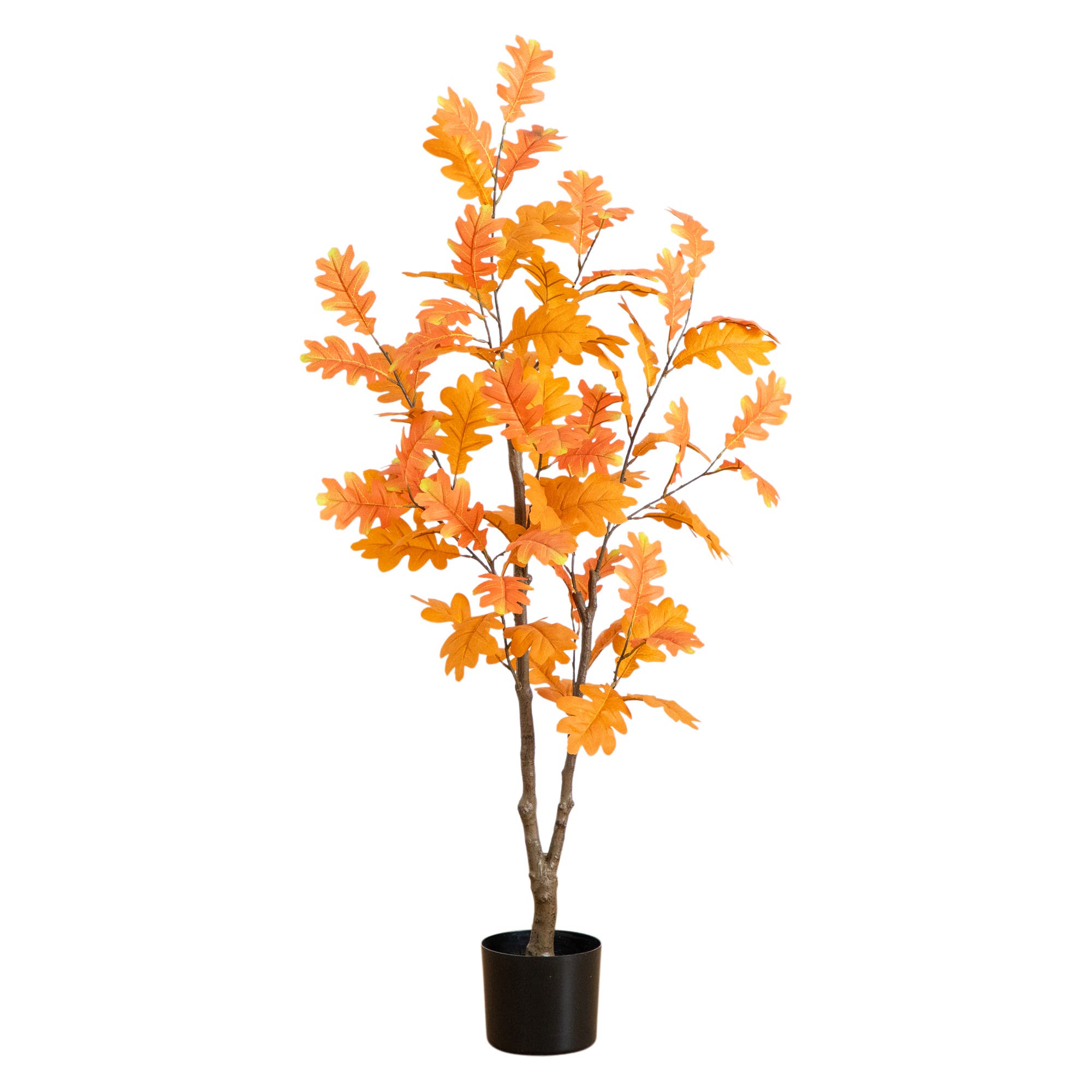 selected Orange