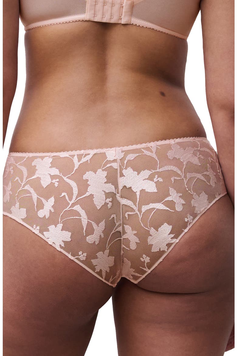 Idyll Embroidered Tulle & Microfiber Hipster Briefs, Alternate, color, TAFFETA PINK