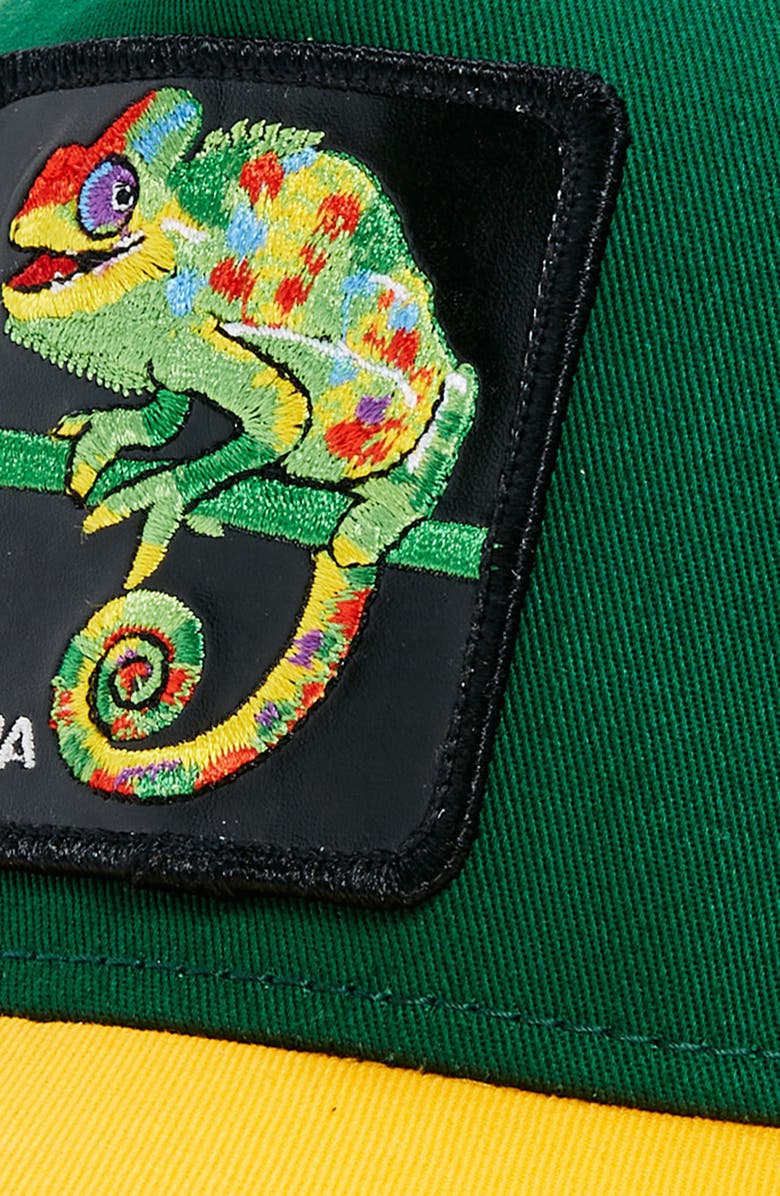 Goorin Bros. The Karma Patch Trucker Hat, Alternate, color, 