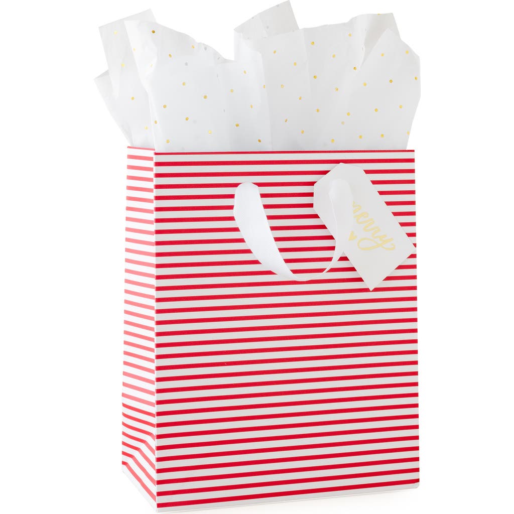 Sugar Paper Gift Bag Set in Red Stripe  product