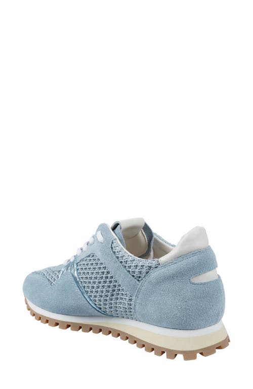 Zigi Porsh Sneaker In Blue