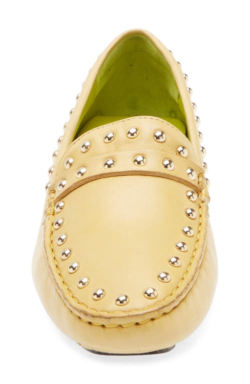 Robert Zur Dittany Studded Driving Loafer