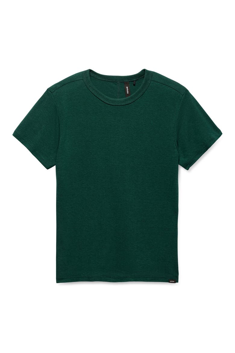 Cozy Up Crewneck T-Shirt, Alternate, color, ROOT GREEN