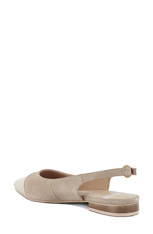 Rag & Co Women's Neutrals Uwaha Genuine Leather & Real Suede Slingback Flats In Beige In Beige