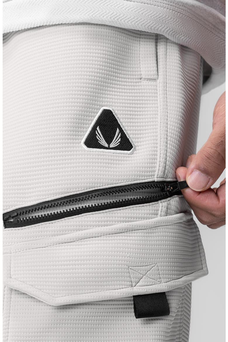 Deltapeak Cargo Cinch Jogger, Alternate, color, Light Grey