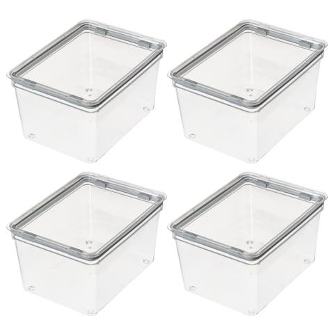 Large Food Storage Bin with Airtight Lid - Set of 4 - Clear