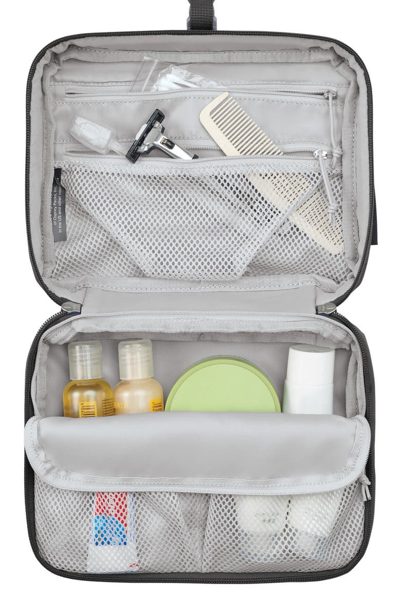 Daylite Hanging Toiletry Case, Alternate, color, BLACK