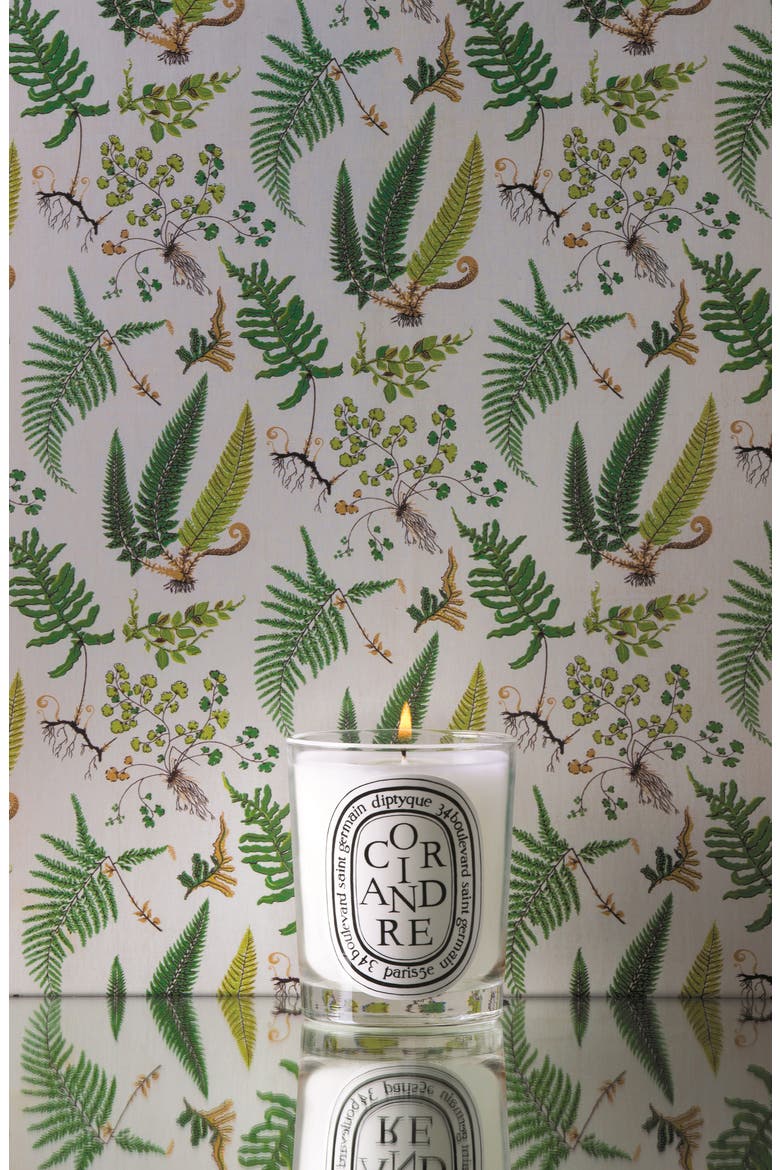 Coriandre/Coriander Scented Candle, Alternate, color, NO COLOR