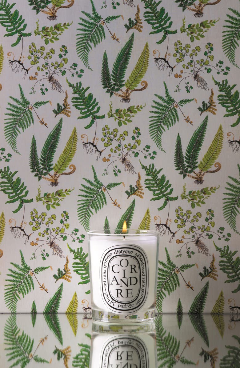 Diptyque Coriandre/Coriander Scented Candle, Alternate, color, 