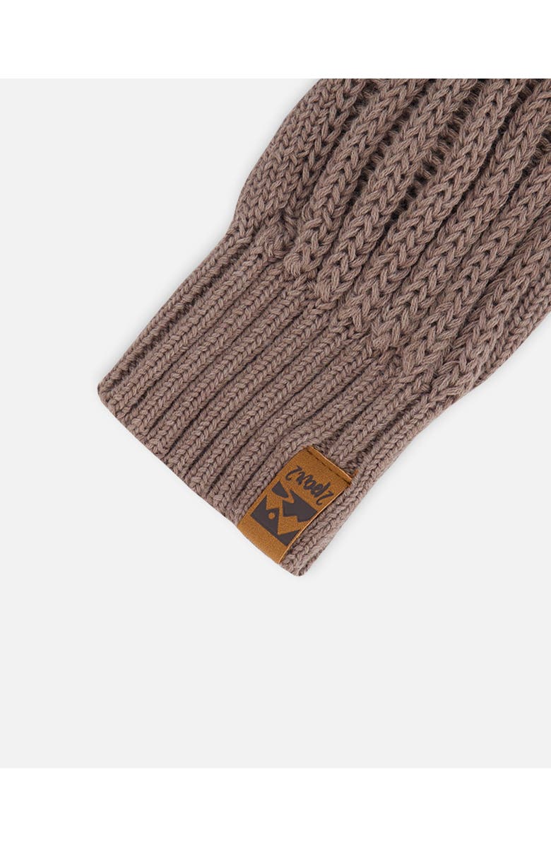 Deux par Deux Boy's Knit Mittens Taupe, Alternate, color,