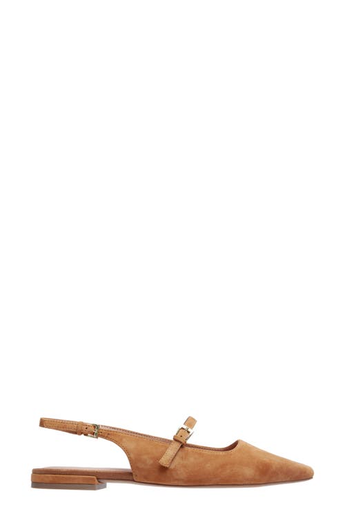 Linea Paolo Celeste Slingback Pointed Toe Flat In Brown