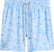 Vintage Summer Stretch Volley Swim Trunks