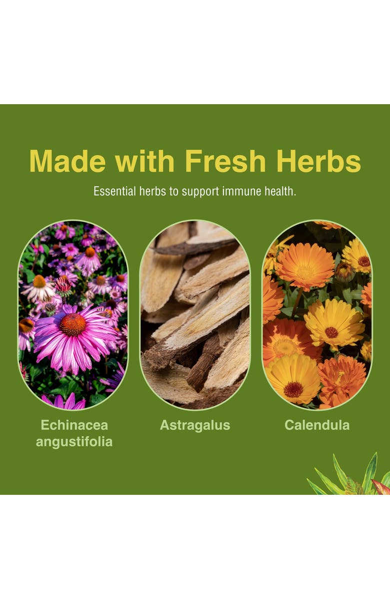 Herbs Etc. Immunoboost Herbal Immune Support Softgels, 60 Count, Alternate, color, NO COLOR