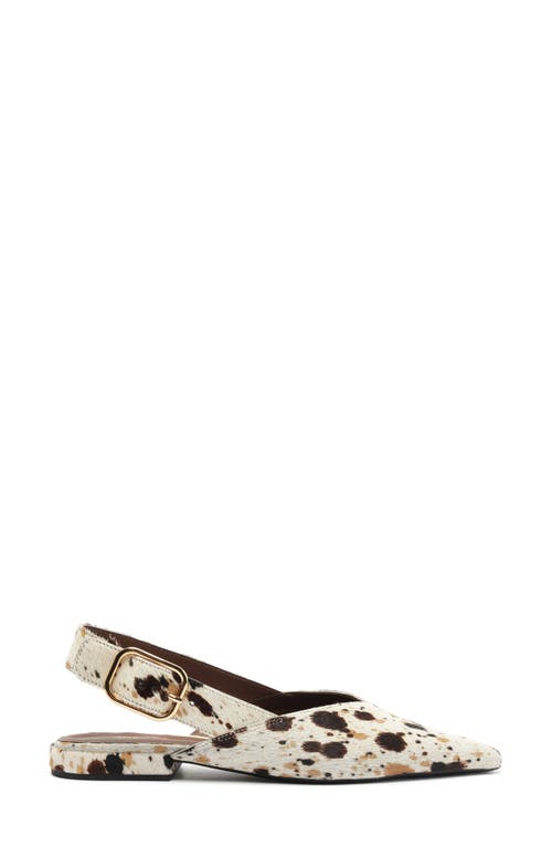 Arezzo Fallon Pointed Toe Slingback Flat