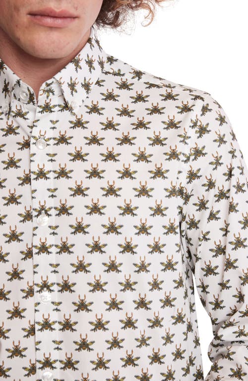 Paisley & Gray Brian Beetle Print Stretch Cotton Dress Shirt In White