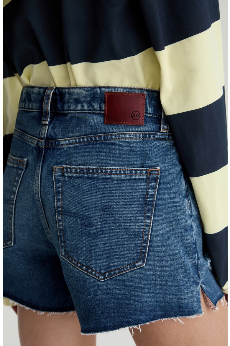 Halle High Waist Cutoff Denim Shorts, Alternate, color, 11 YEARS ENRICH