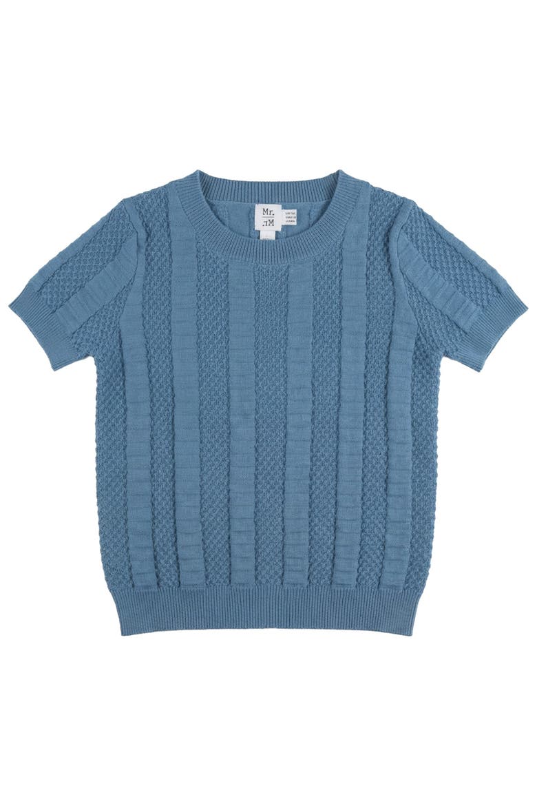 Textured Column Knit Pullover Sweater, Main, color, Sky Blue