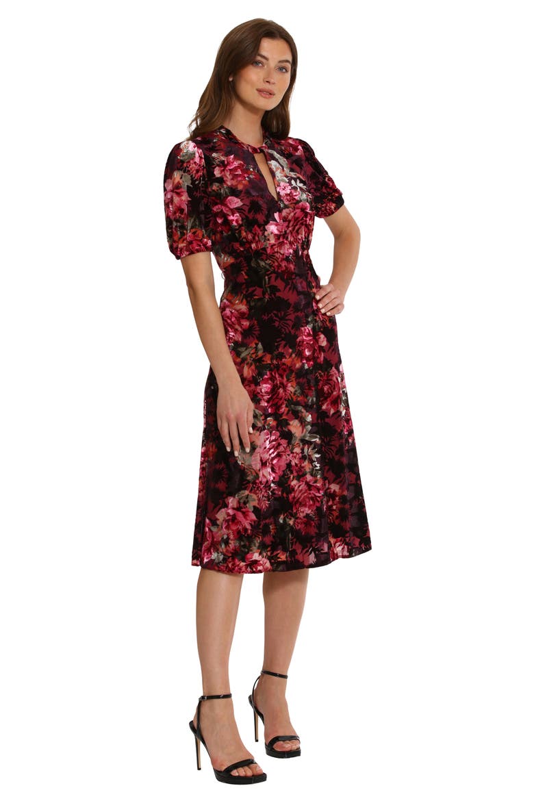 Floral Velvet Midi Dress, Alternate, color, RAISIN/ WINE/ OLIVE