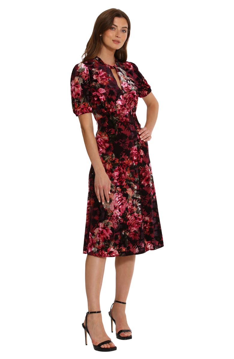 Maggy London Floral Velvet Midi Dress, Alternate, color,