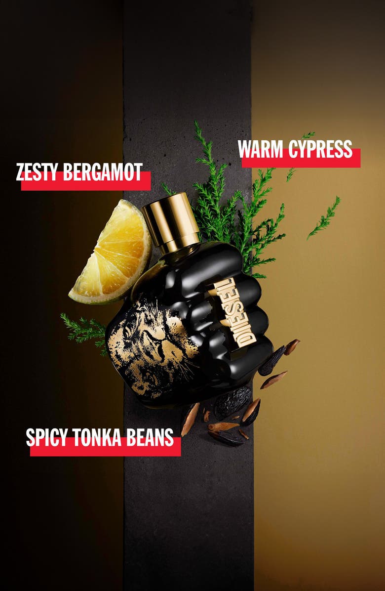 DIESEL<sup>®</sup> Spirit of the Brave 2-Piece Gift Set, Alternate, color,