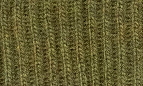 Portolano Merino Wool Rib Cuff Beanie In Green