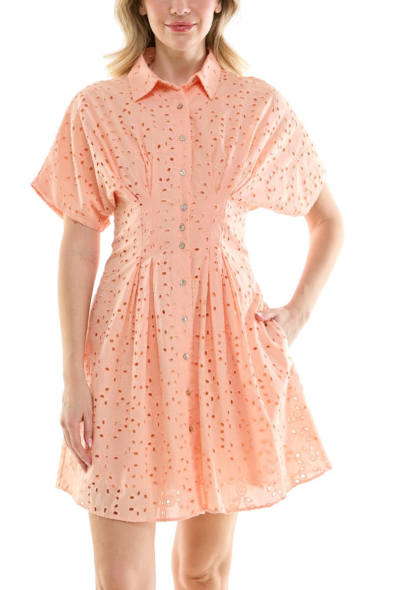 Cotton Broderie Anglaise Mini Shirtdress, Alternate, color, DUSTY PEACH