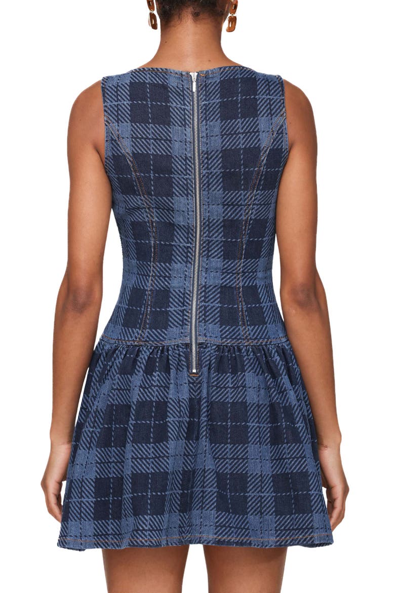 Plaid Drop Waist Sleeveless Minidress, Alternate, color, ROYAL BLUE PLAID