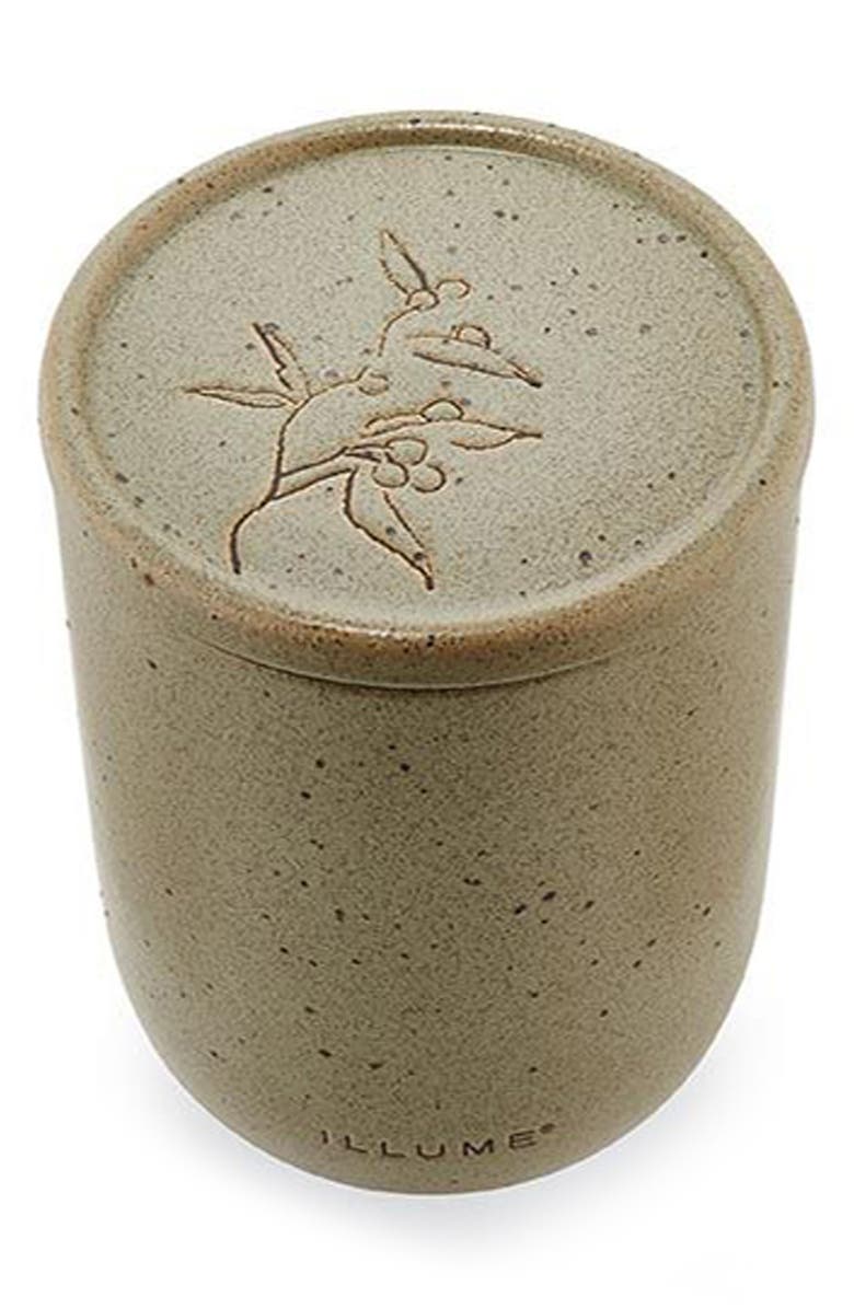 ILLUME<sup>®</sup> Elemental Eucalyptus Ylang Large Patio Ceramic Candle, Alternate, color, Green