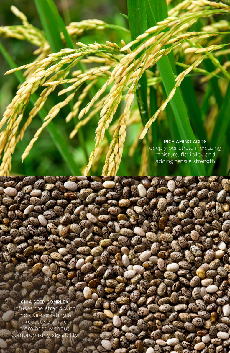 Intelligent Nutrients Good Hair Guardian Thermal Primer, Alternate, color, NO COLOR