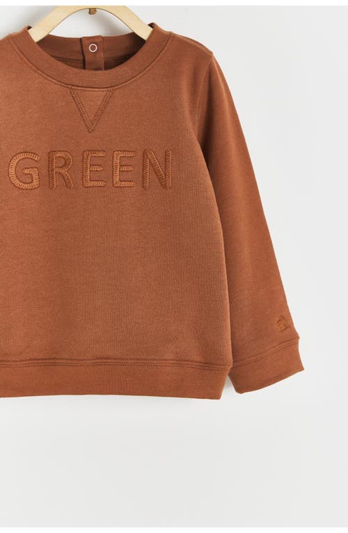 Babycottons Sweatshirt Lenny Leaves For Toddler In Brown