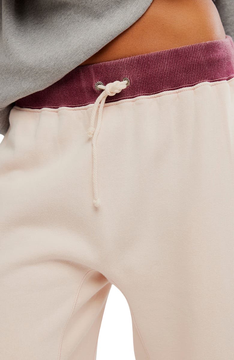Free People You Wish Tie Waist Sweatpants, Alternate, color, Ballet Slipper Combo