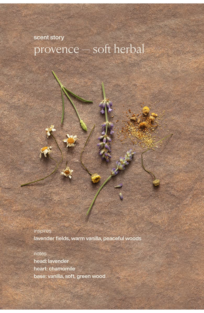 evolvetogether Hydrating Lip Balm, Alternate, color, 