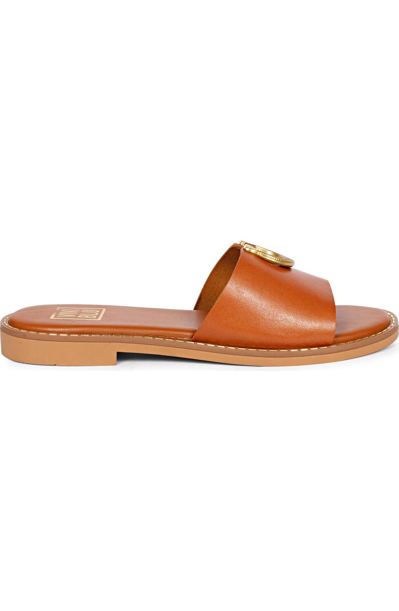 VIVI BLU Amber Slide Sandal, Alternate, color, Cognac