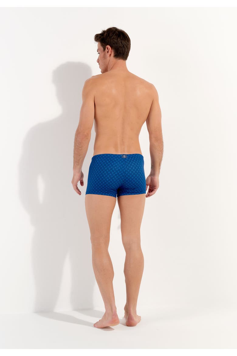 Hendaye Swim Shorts, Alternate, color, Blue Print