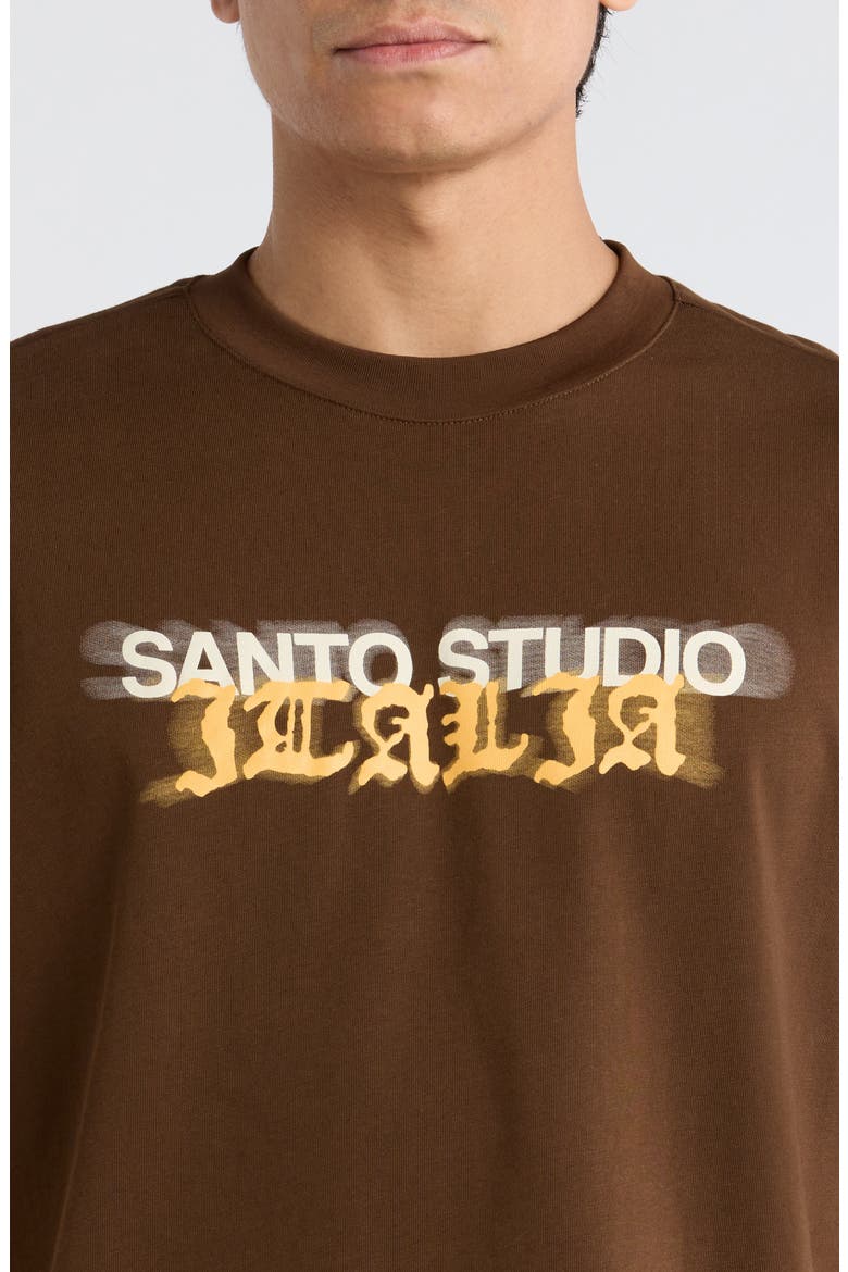 Italia Drappo Boxy Fit Cotton Graphic T-Shirt, Alternate, color, BROWN