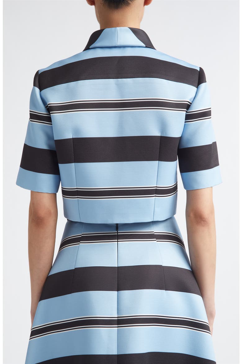 Natalie Stripe Taffeta Faille Crop Button-Up Shirt, Alternate, color, GRAPHIC STRIPE - BLUE BLACK