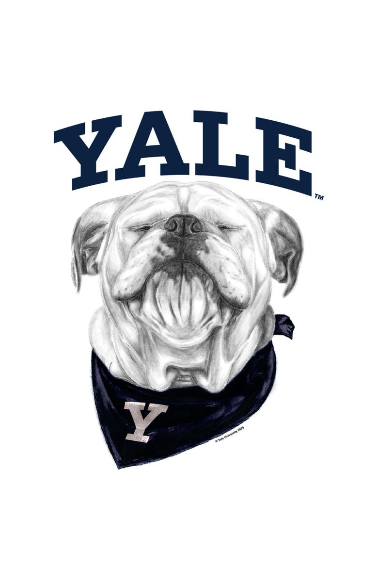 Yale University Men's Yale University Happy Handsome Dan Graphic T-Shirt, Alternate, color, White