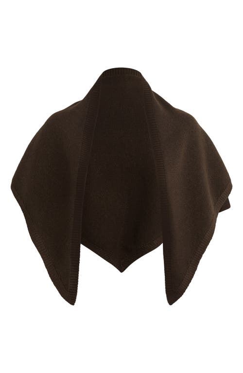 Favorite Daughter Triangle Scarf In Brown