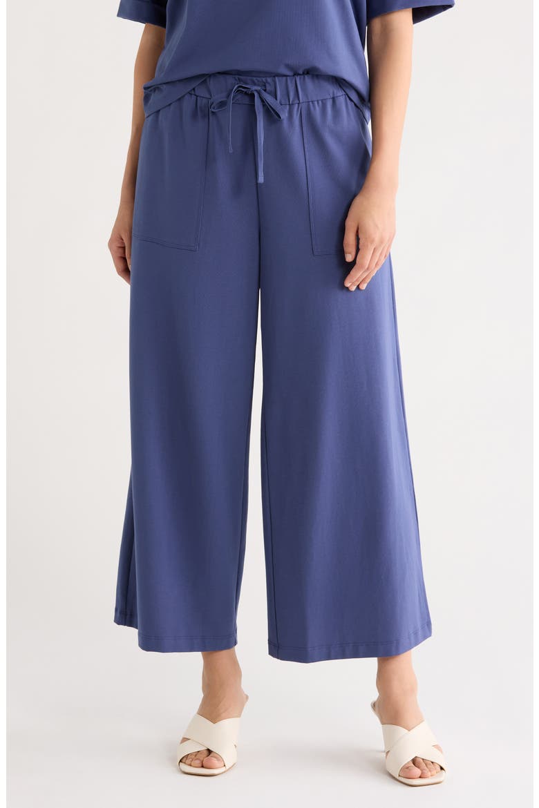Cropped Wide Leg Pants, Main, color, BLUE VIOLET