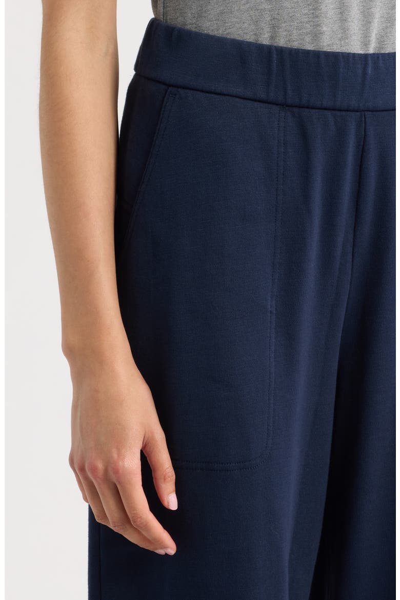 Organic Cotton Ankle Arch Pants, Alternate, color, INK