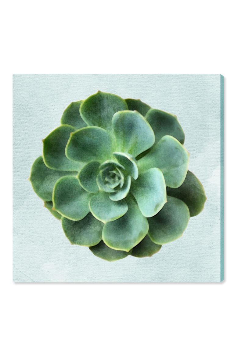Succulent Dream III Canvas Wall Art, Main, color, GREEN