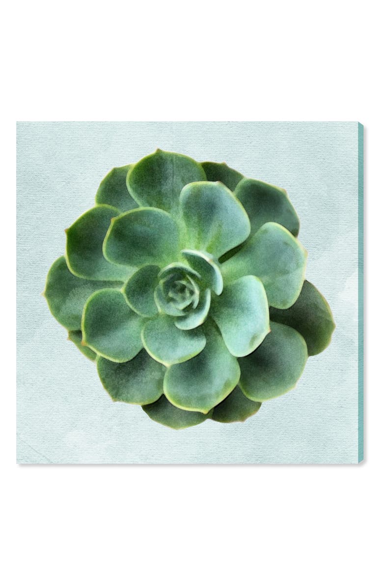 Oliver Gal Succulent Dream III Canvas Wall Art, Main, color,