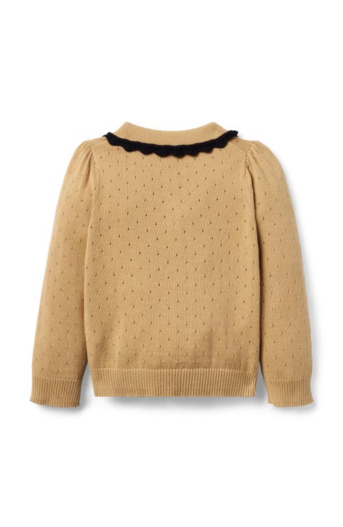 Janie And Jack Pointelle Crochet Collar Sweater In Sand