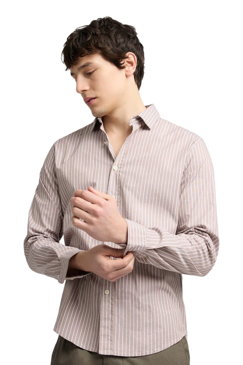 Poplin Button Down Long Sleeve Shirt, Alternate, color, Latte/White