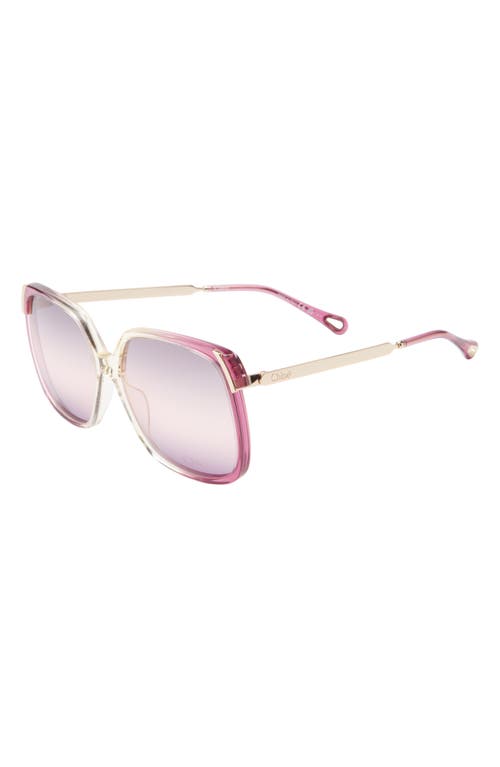 Chloé 60mm Oversize Square Sunglasses In Purple