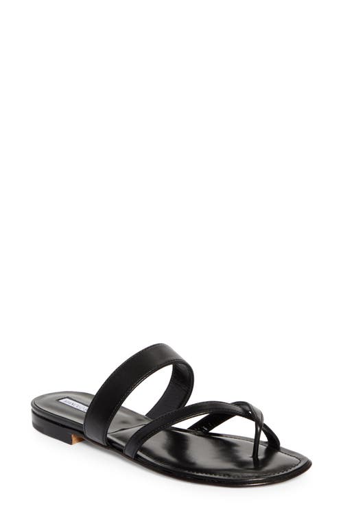 Manolo Blahnik Susa Crossover Sandal In Black