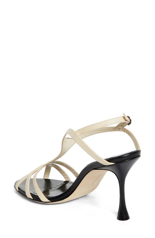 Shop Manolo Blahnik Betgieb Ankle Strap Sandal In Black/light Cream