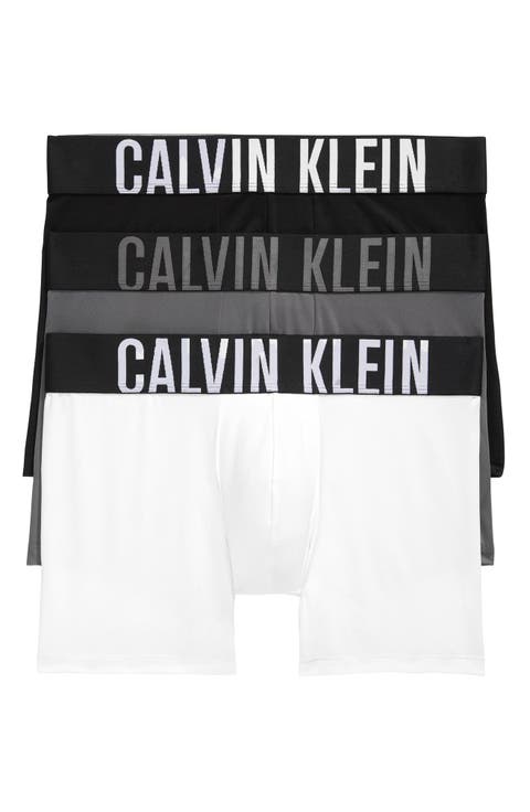 3-Pack Intense Power Microfiber Boxer Briefs